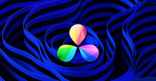 Blackmagic�޸����ƷDaVinci Resolve�е�2����϶.png